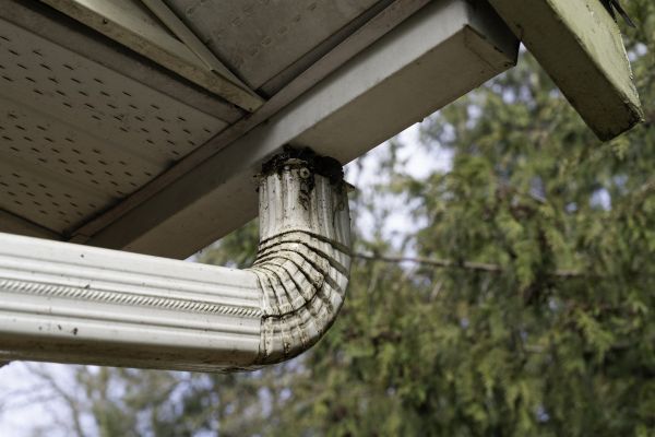Cost of Roof Drain Replacement in Columbus